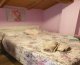HABITACIONES EN ALQUILER CARACAS, AV, ROOSEVELT