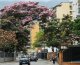 HABITACIONES EN ALQUILER CARACAS, URB. LOS RUCES